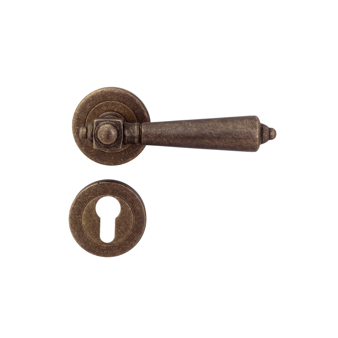 Veera Brass Mortise Lever Handle