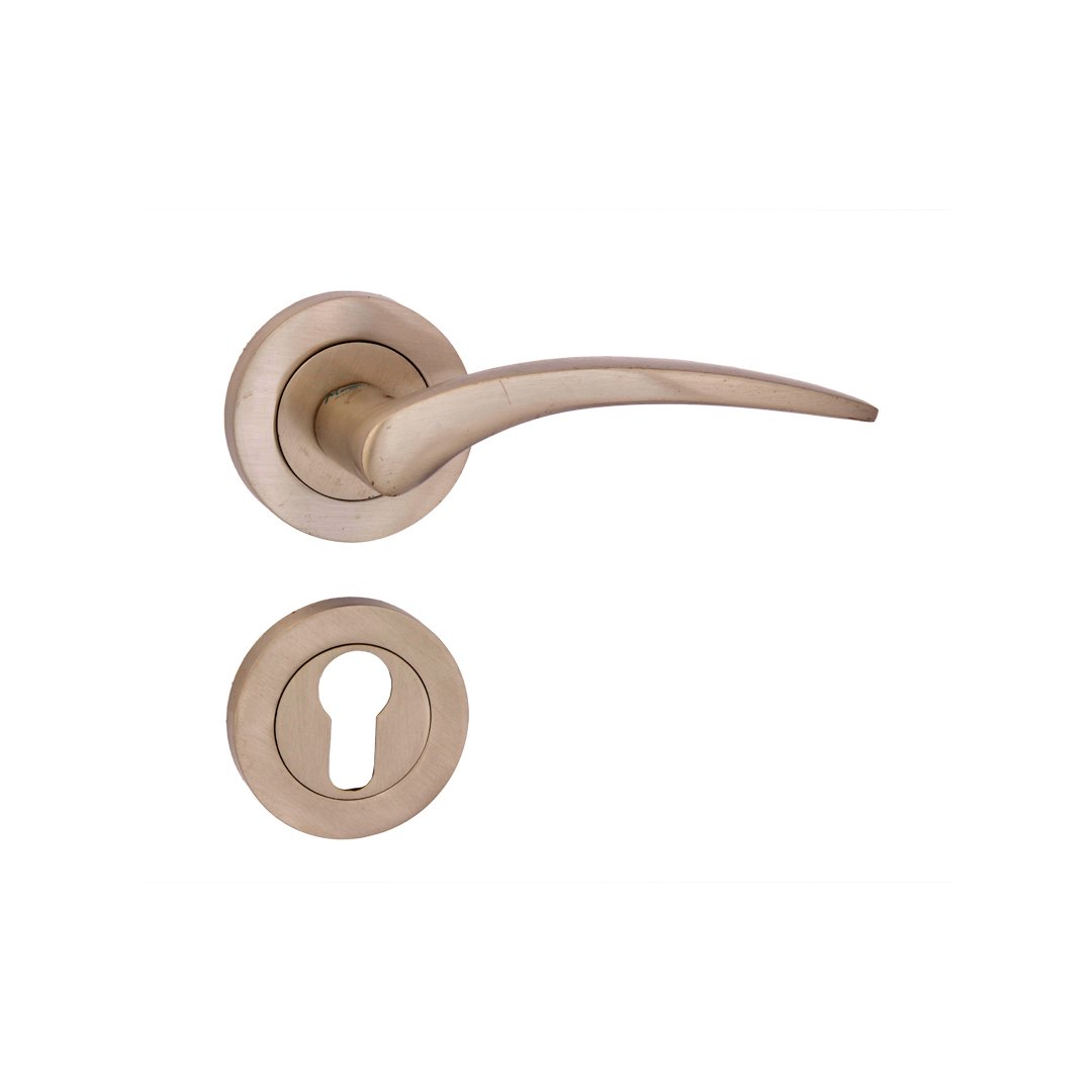 Classic On Rose Brass Mortise Lever Handle