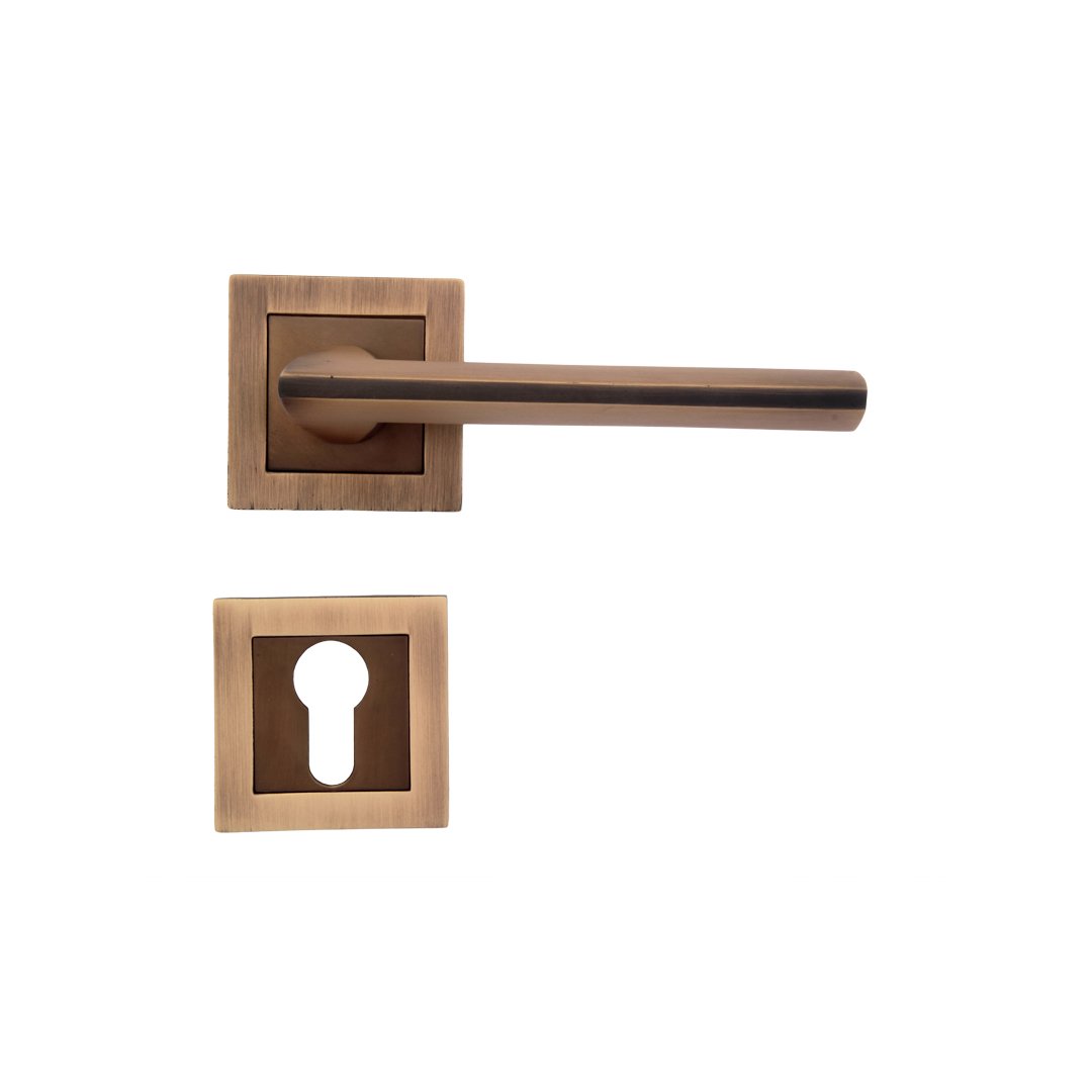 Fabina On Rose Brass Mortise Handle