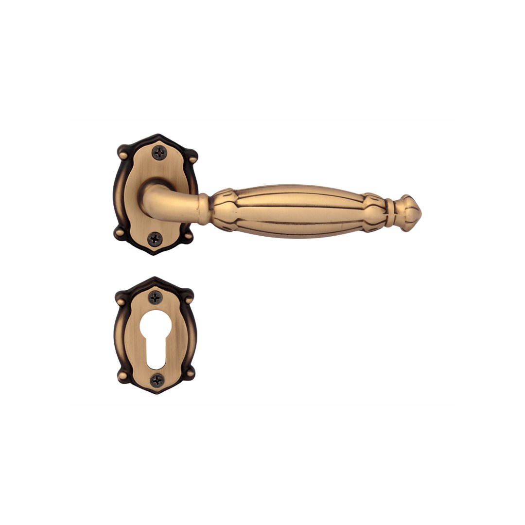 Vito Brass Mortise Handle