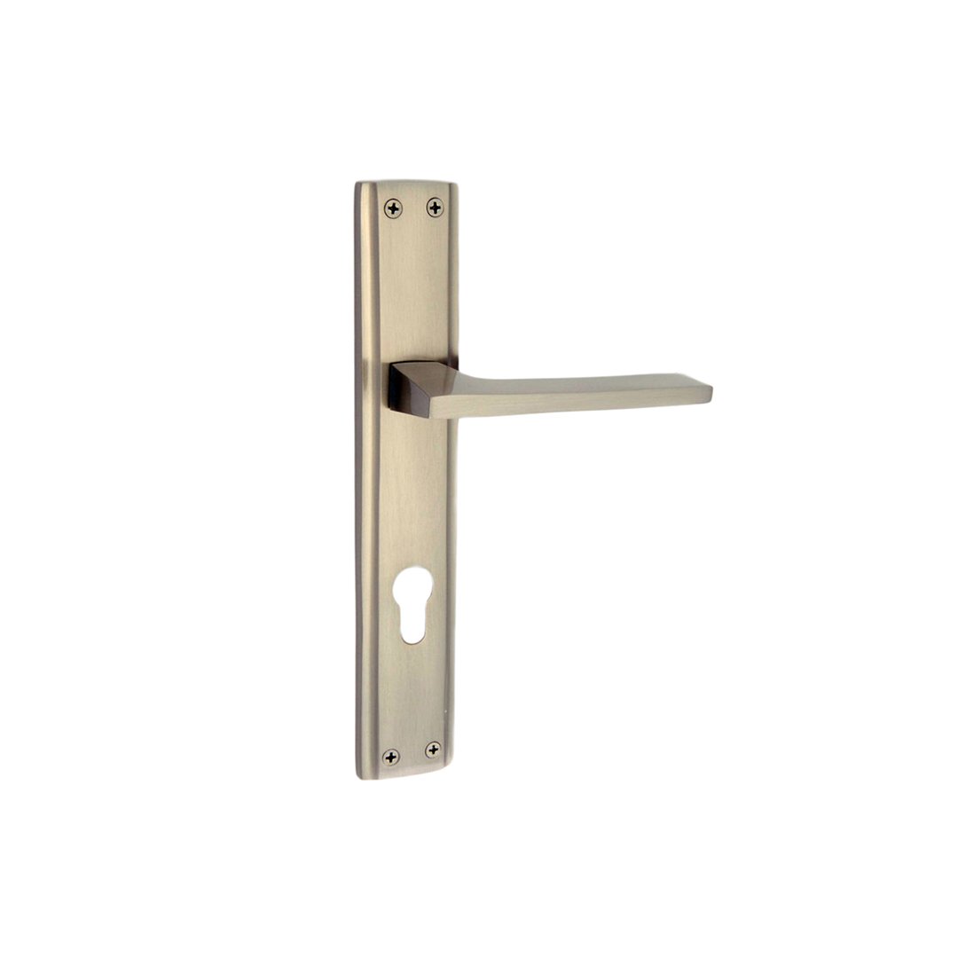 Fabina On Plate Brass Mortise Handle