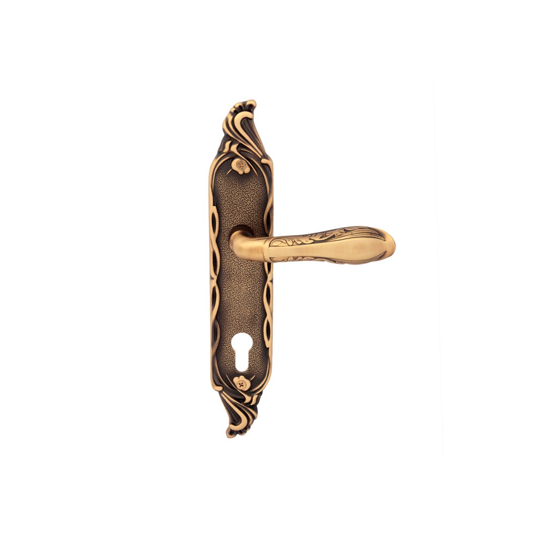 Roger Brass Mortise Handle