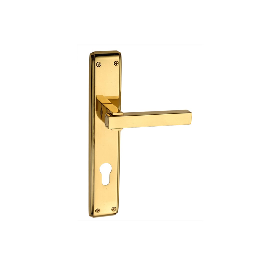 Eldora On Plate Brass Mortise Handle